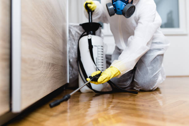 Best Exterminator Services  in Youngtown, AZ