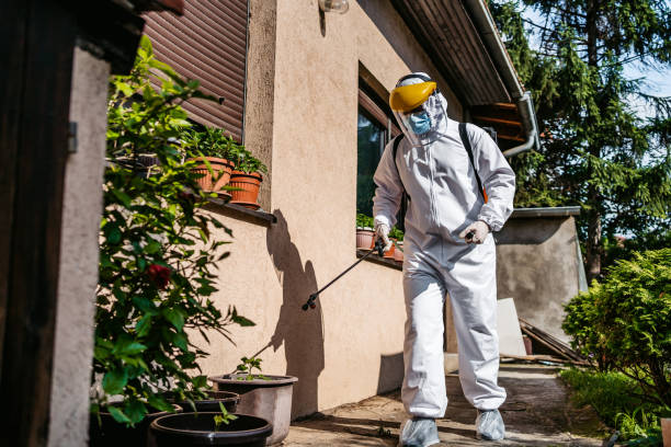 Best Mosquito Control Services  in Youngtown, AZ