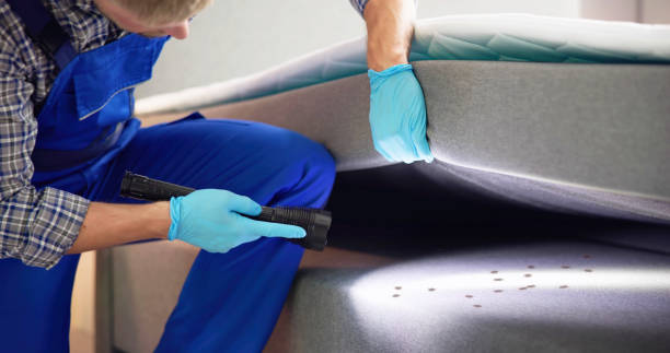 Best Residential Pest Control  in Youngtown, AZ