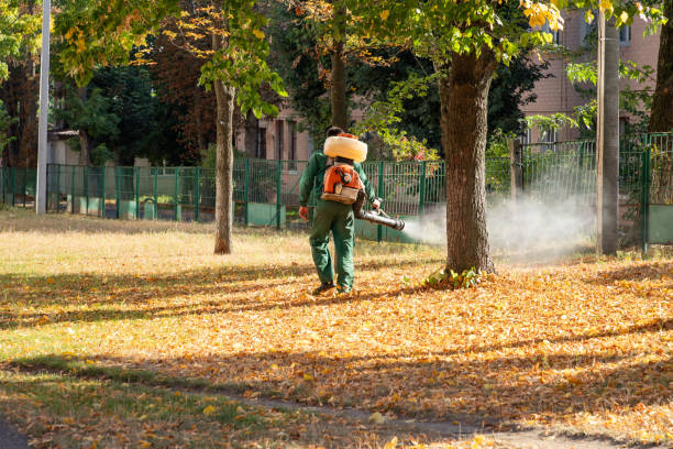 Best Cockroach Control Services  in Youngtown, AZ