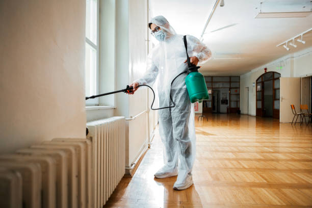 Flea Control Services in Youngtown, AZ